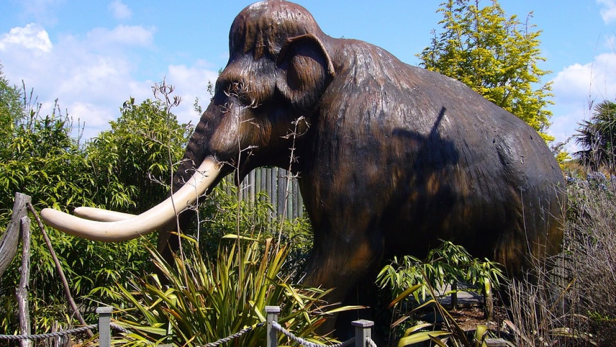 Woolly Mammoth 1727350306571.jpg