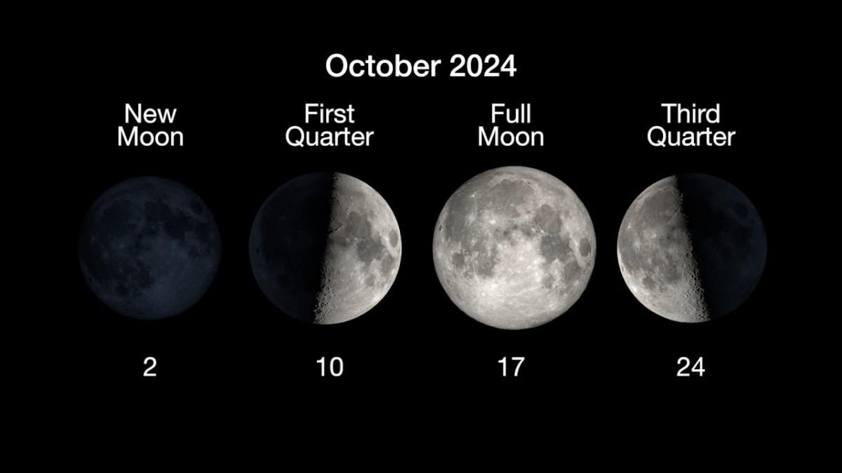 October 2024 Moon 1727960987451.jpg