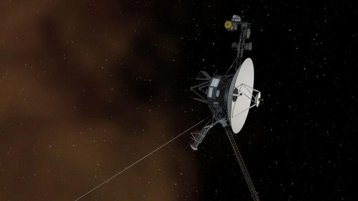 Voyager2 1727962920803.jpg